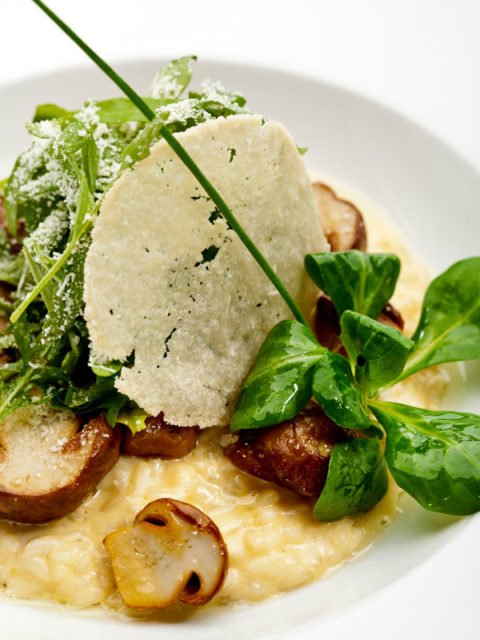 Tomaten Mozarella Suppe - Gesund gut Essen