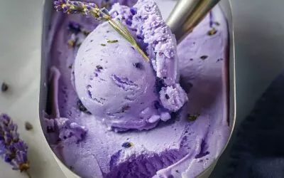 Blaubeer-Lavendel-Eiscreme